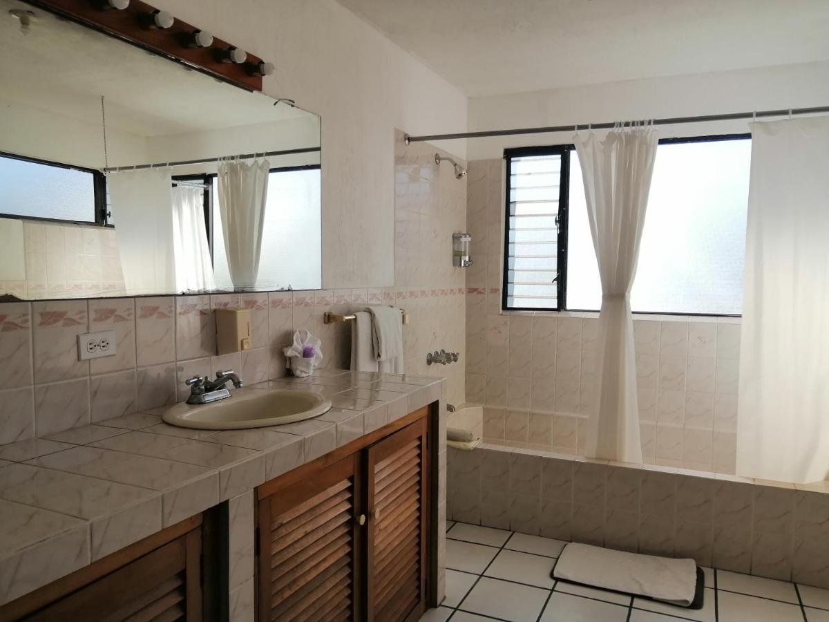 Novohostal B&B Guatemala City Ngoại thất bức ảnh